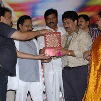 Company Movie Audio Launch - Pictures | Picture 99921